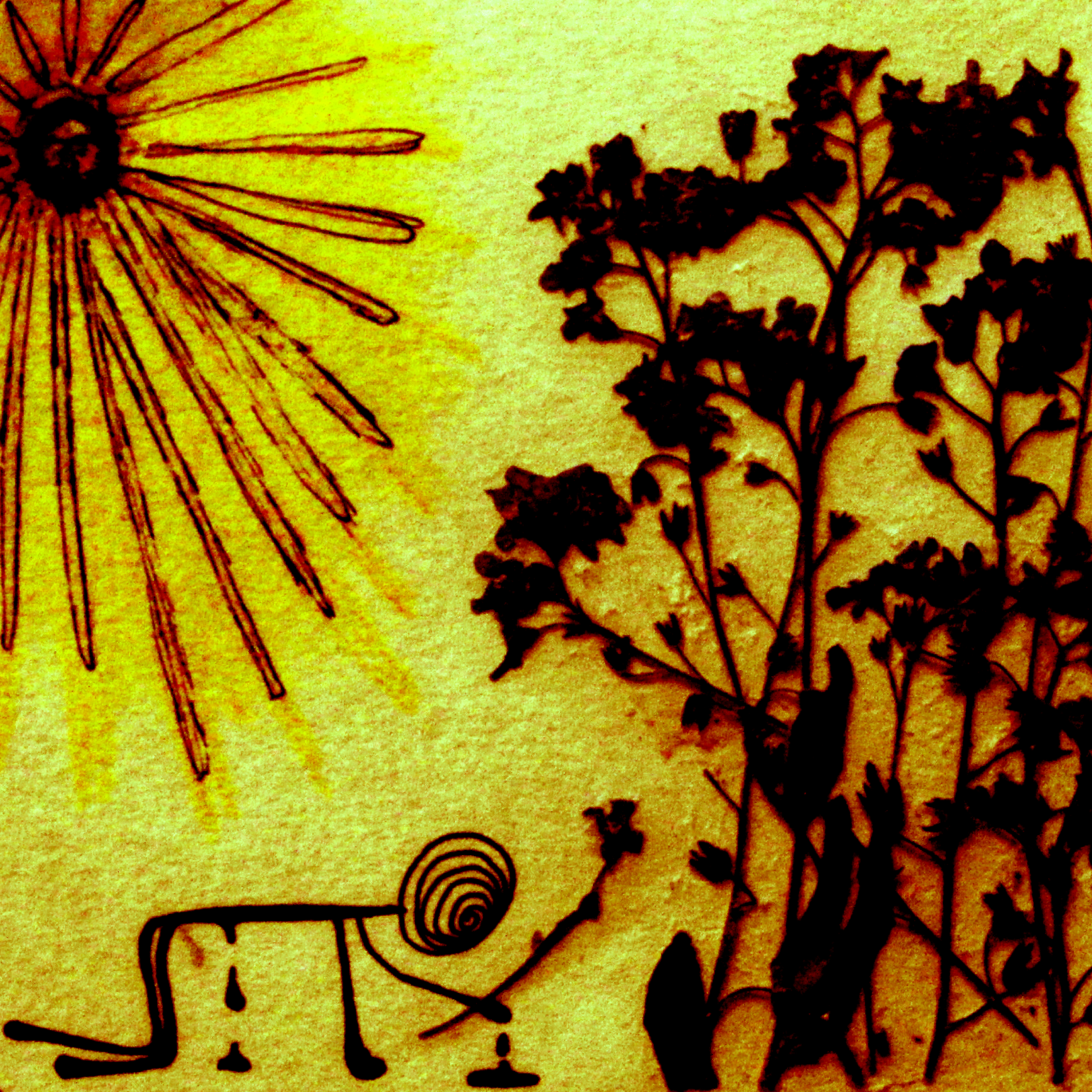 Grapefruit Products artwork